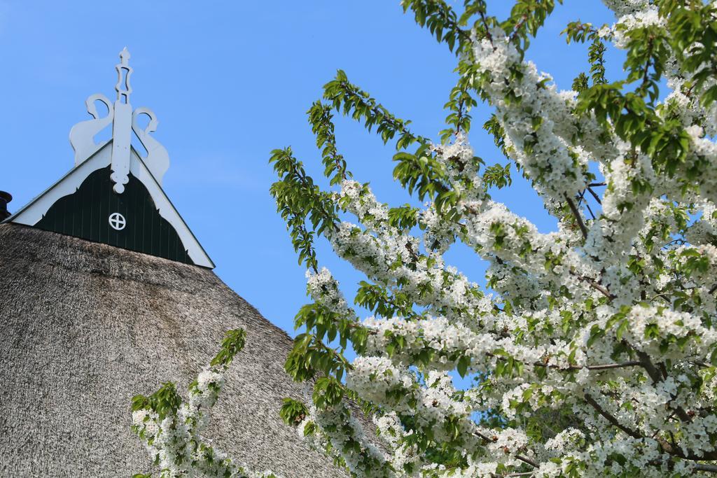 It Foarhus *